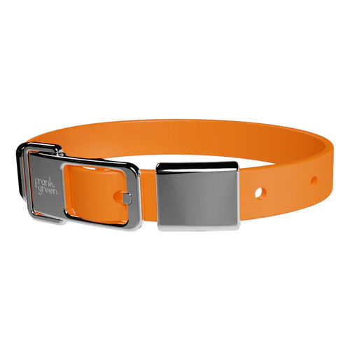 frank green Pet Collar + Name Tag Medium